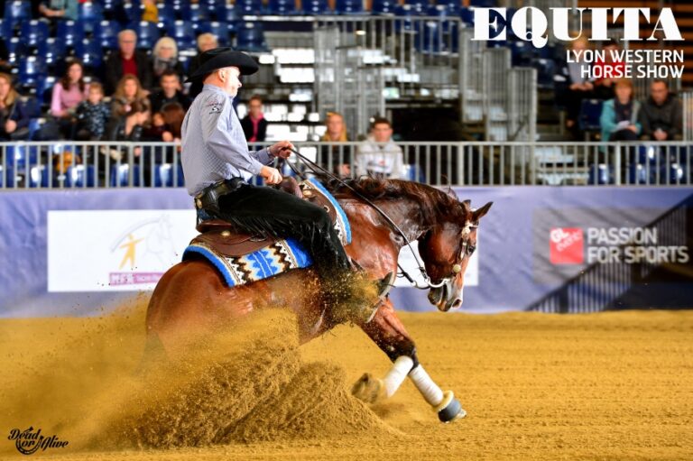 Photos by Dead Or Alive