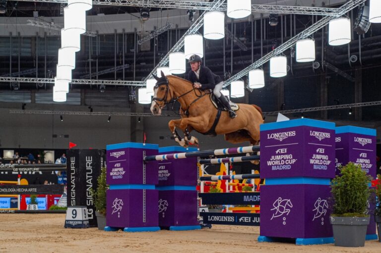 Photos Copyright © FEI/Thomas Reiner