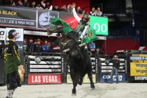 Photos Courtesy of Andy Watson, BullStock Media for PBR