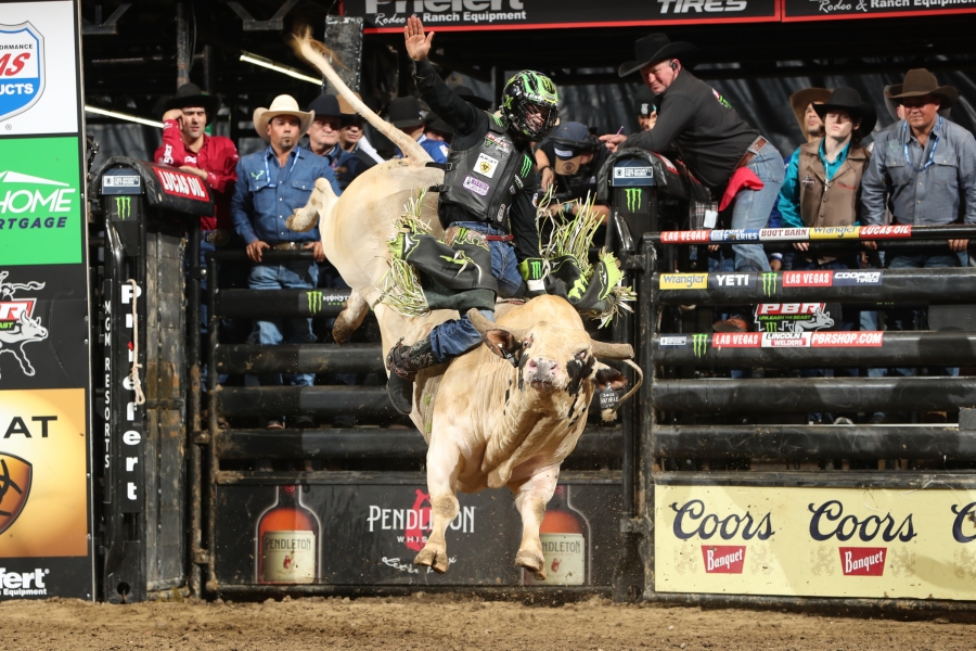 Photos Courtesy of Andy Watson, BullStock Media for PBR