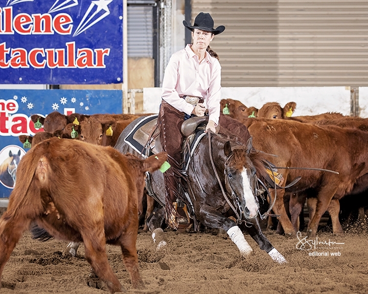 Photo by S. Sylvester Photography, courtesy of NCHA