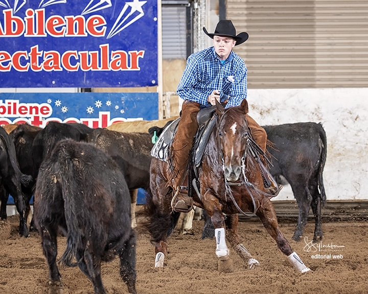 Photo by S. Sylvester Photography, Courtesy of NCHA