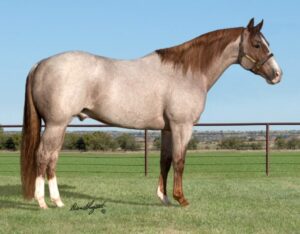 Repost pic from www.6666ranch.com