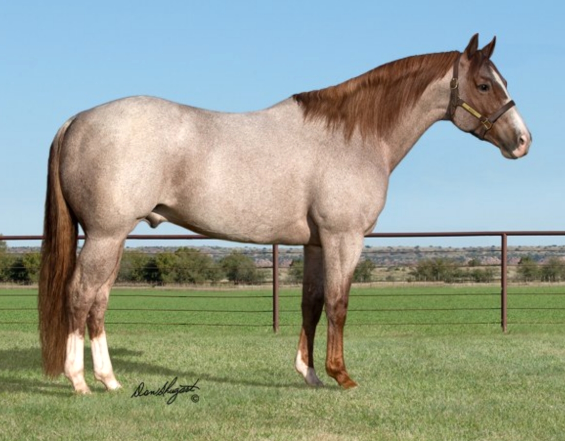 Repost pic from www.6666ranch.com