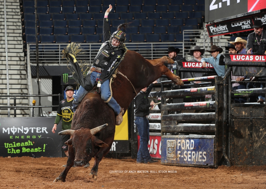 Photo Courtesy AndyWaton - Bull StockMedia