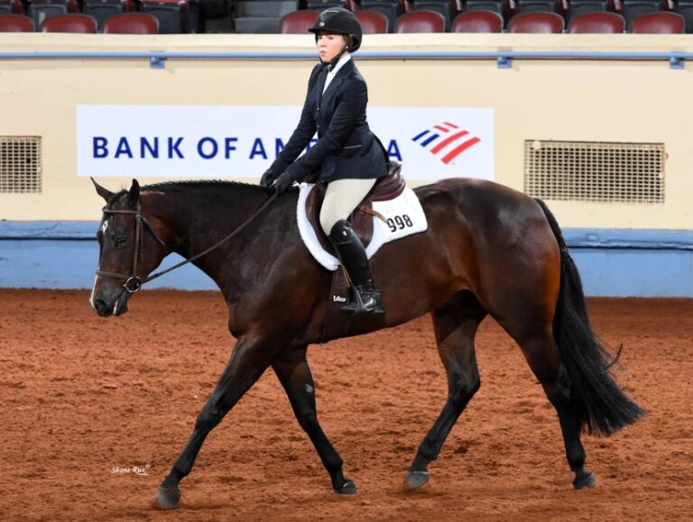 Photo by AQHA.com