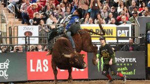 Photo courtesy PBR.com
