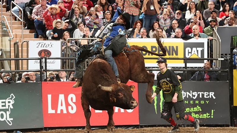 Photo courtesy PBR.com