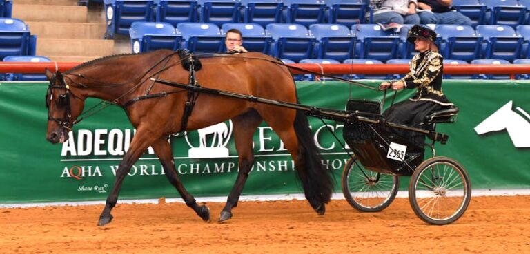Photo by © AQHA.com