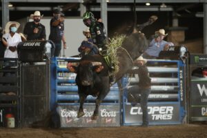 Photo Courtesy of Andy Watson/BullStock Media