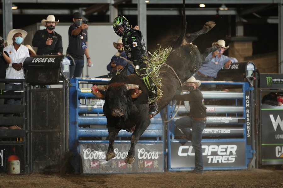 Photo Courtesy of Andy Watson/BullStock Media