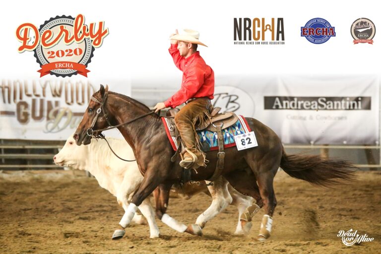 Photos courtesy of IHP Media Partner Dead or Alive Photo / 2020 ERCHA Press Office