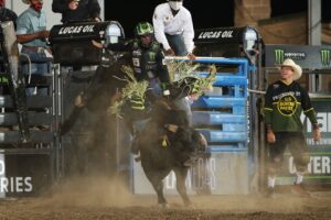 Photo courtesy of Andy Watson/BullStock Media