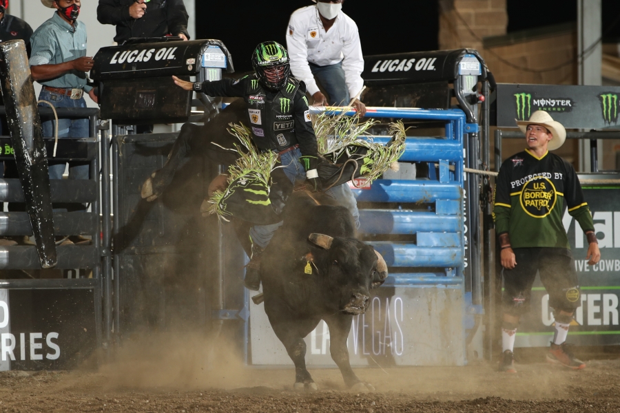 Photo courtesy of Andy Watson/BullStock Media