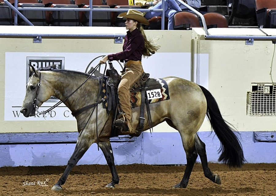 Photo by ©AQHA.com