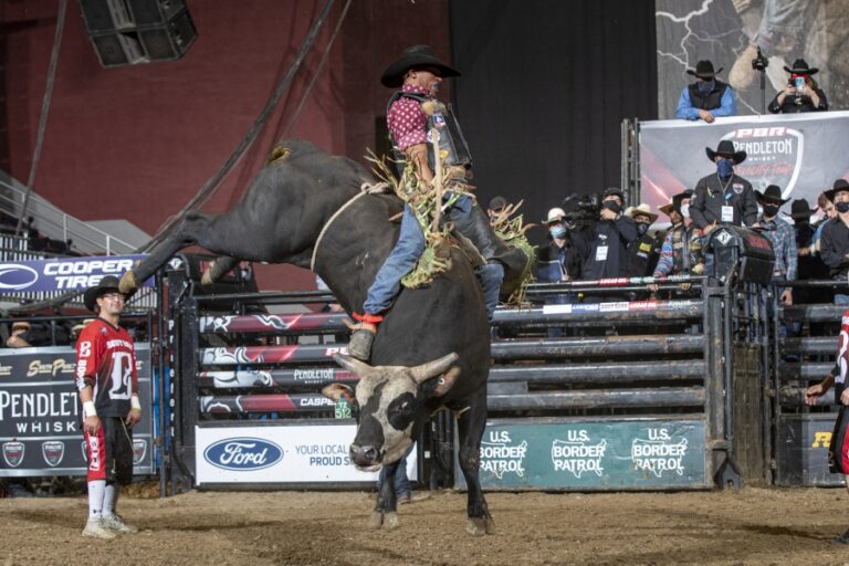 Photo courtesy © Andre Silva