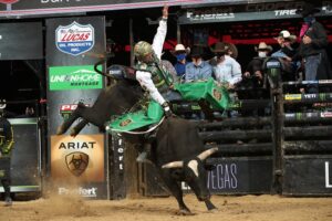 Photo courtesy Andy Watson/Bull Stock Media