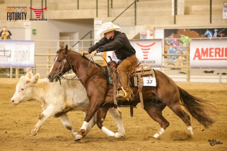 Photo by IHP Media Partner Dead or Alive Photo