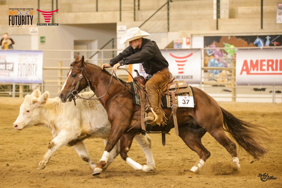 Photo by IHP Media Partner Dead or Alive Photo