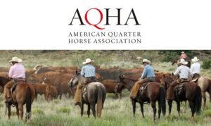 Photo ©AQHA