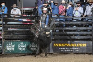Photo by AndreSilva-BullStockMedia, courtesy of PBR