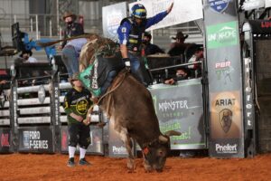 Photo by AndreSilva-BullStockMedia, courtesy of PBR