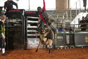 Photo courtesy Andy Watson/Bull Stock Media