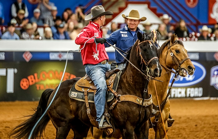 BFI Photo by Performance Horse Photography