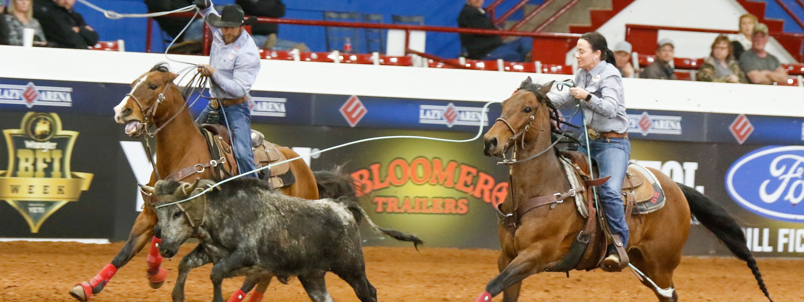 BFI Photo by Performance Horse Photography