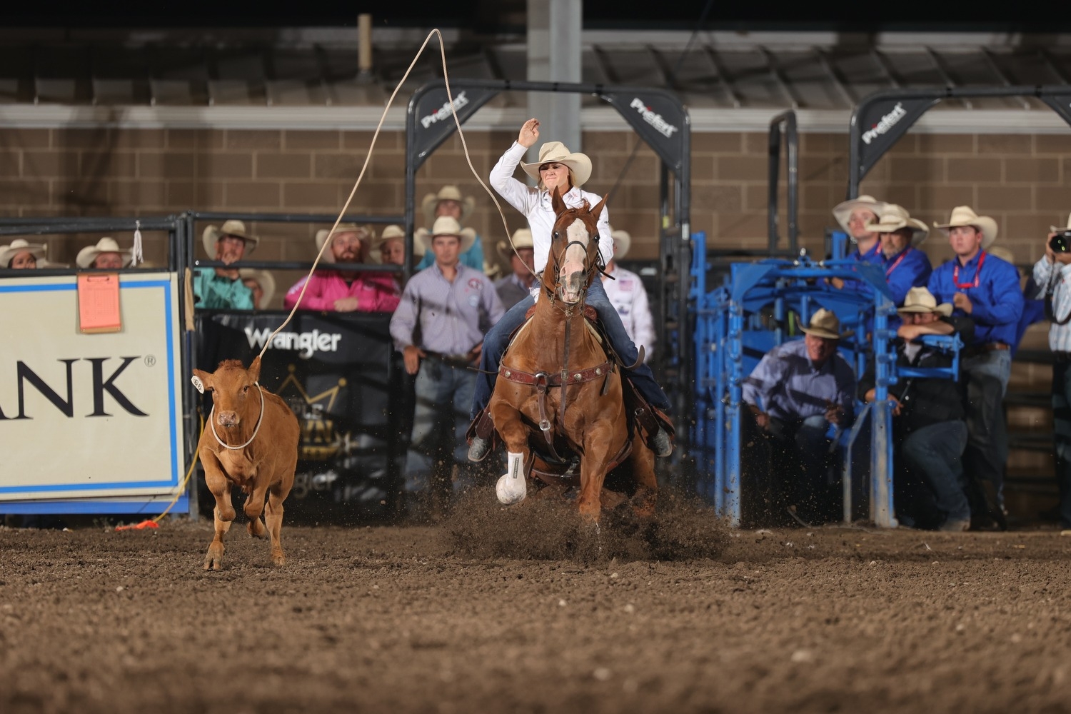 Photo by Bullstockmedia | Courtesy of DO47