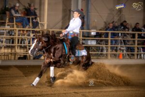 Photos by Tom Hautmann