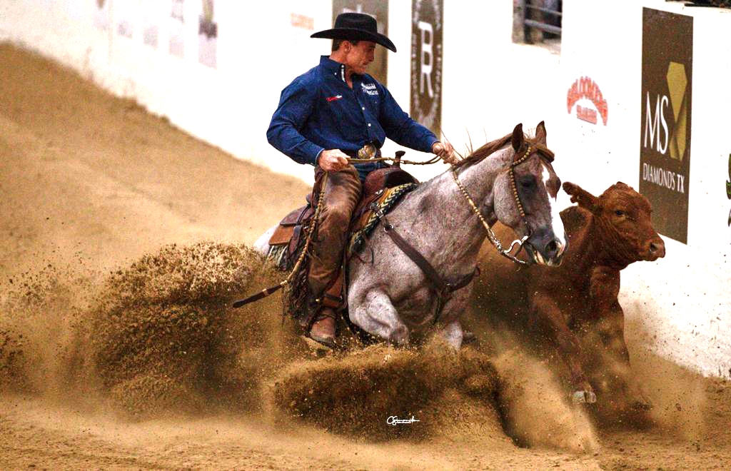 Photos by IHP Media Patner Carolyn Simancik