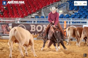 Photo by IHP Media Partner 8 Photo Agency