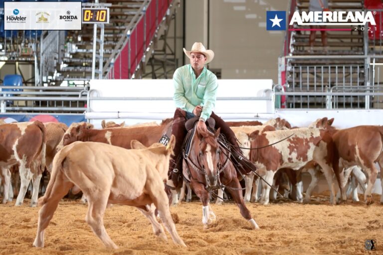 Photos by 8 Photo Agency