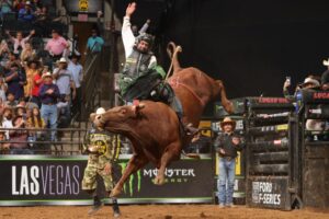 Photo by Andy Watson/Bull Stock Media | PBR