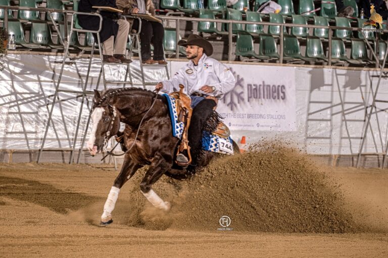 Photo by NRHA Germany Breeders Futurity Official Photographer and IHP Media Partner Tom Hautmann