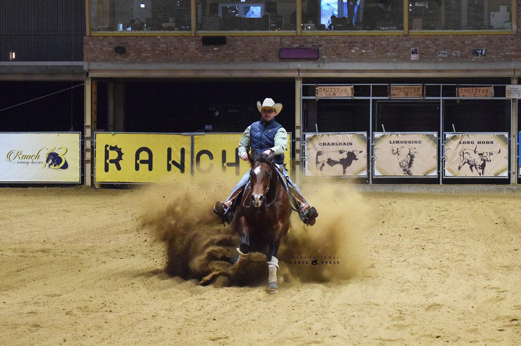 Photo by International Horse Press