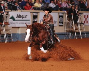 Photo courtesy ©NRHA