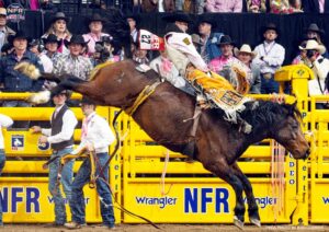 PRCA Photo by Rod Connor