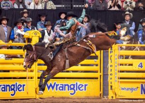 PRCA Photo by Phill Kitts