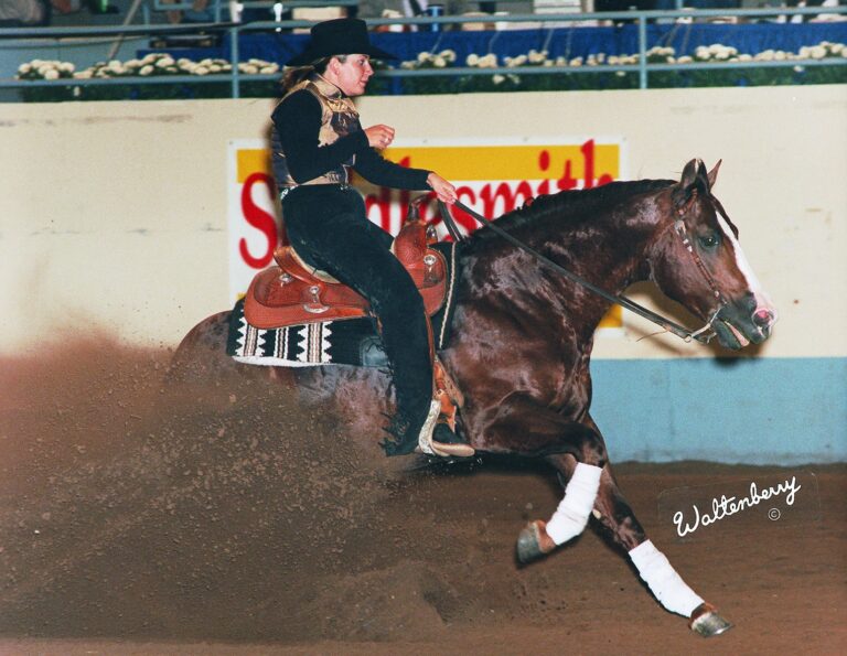 Photo by Waltenberry | NRHA