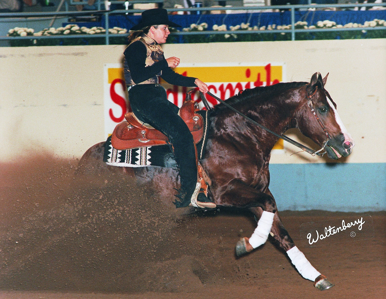 Photo by Waltenberry | NRHA