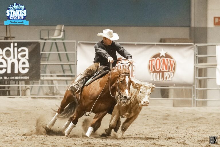 Photos by 8 Photo Agency