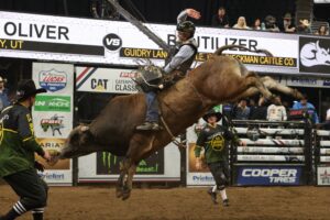Photo courtesy PBR by Andy Watson/Bull Stock Media