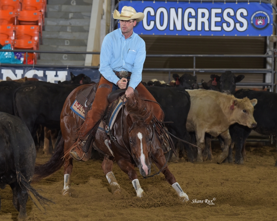 Photo courtesy OQHA by Shane Rux