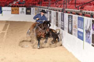 Photo by Primo Morales Photography, courtesy of NRCHA