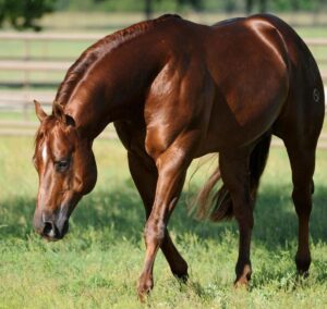 Photos by NRBC Press Release