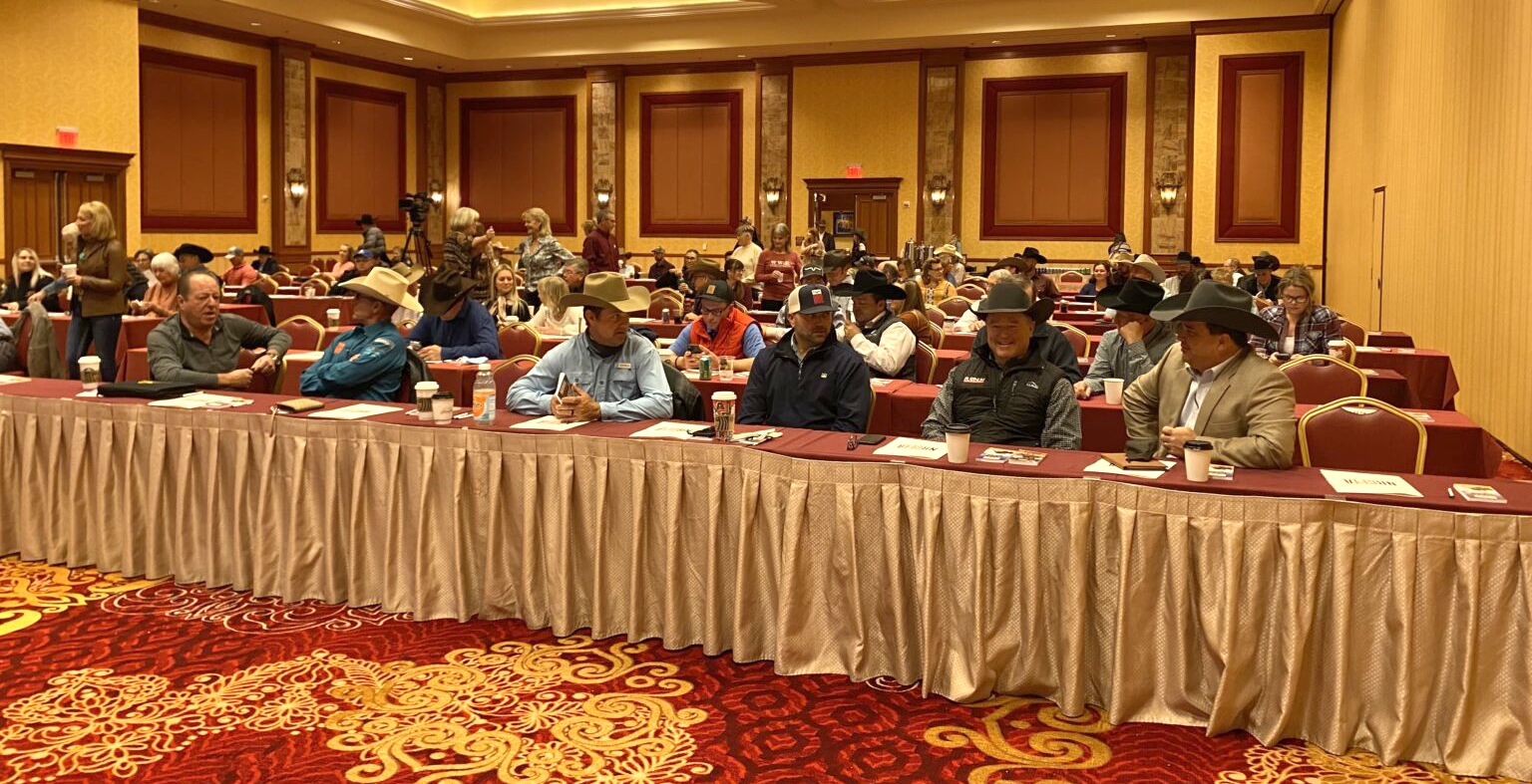 Photo by NRCHA Press Release