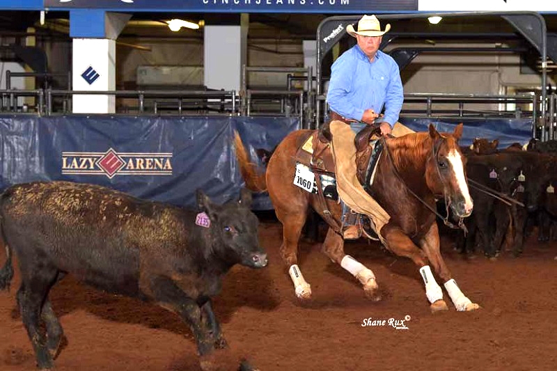 Photo by AQHA Press Release by Shane Rux