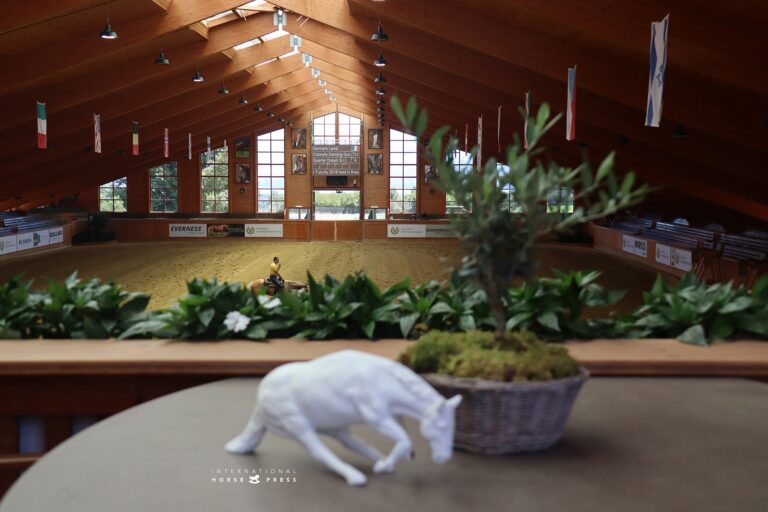 Photos by International Horse Press